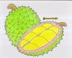 Pokok durian perlu di pagar dengan net hitam seluas 2×2 kaki untuk mengelak belalang memakan daun dan mengelak cahaya matahari terus terkena pada benih durian. 53 Gambar Durian Anak Tk Gambar Pixabay