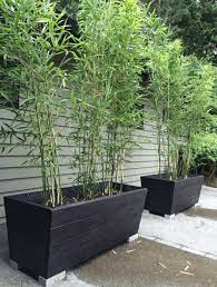 Plants that make great hedges respond to pruning by becoming more dense. 33 Garden Screening Ideas Garden Screen For Privacy