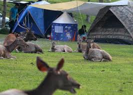 Popular khao yai national park categories. Quality Matters In Khao Yai Holiday Home Market