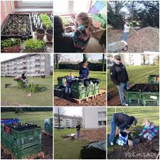 Heimatgarten Rheinhausen Urban Gardening In Duisburg Franz Schubert Strasse 27 In Duisburg Rheinhausen Komm Zu Uns Und Mach Mit Garten Gardening Gartenburo