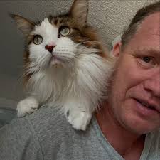 KING SAMSON'S DYNASTY (@catstradamus) • Instagram photos and videos