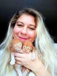 Hi! I'm a very cute Maine Coon kitten .. 😻