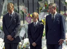 Никто не сможет остановить диану? Prinz Harry Diesen Letzten Wunsch Fur Lady Di Verweigerte Prinz Charles Seinem Sohn News De