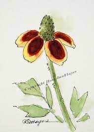 Mexican Hat Texas Wildflower Painting Original Watercolor Aceo Wildflower Paintings Flower Painting Watercolor Flowers