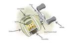 Bait caster parts