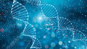 Multilevel Genomic Analysis Links Schizophrenia and Osteoporosis