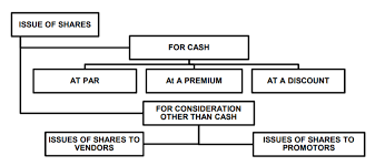 Company Accounts Types Of Share Capital Issue Of Shares