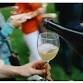 Salida Wine Festival
