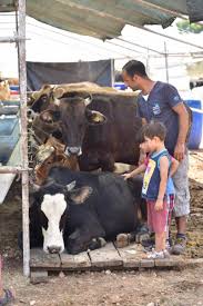 Kepez In Kurban Kesim Yerleri Belirlendi Yerel Yonetimler