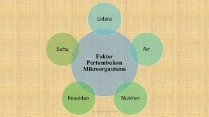 Juga menyatakan kesan buruk serta kegunaan mikroorganisma dalam kehidupan sehari. Faktor Pertumbuhan Mikroorganisma Mudahnya Sains Upsr Facebook