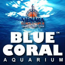 Blue coral aquarium, kl tower. Blue Coral Aquarium At Kl Tower Kuala Lumpur Facebook