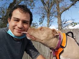 Tlc pet transport testimonials show everyone that we are the nation's #1 choice for all of your pet transportation and pet relocation needs. Pet Partner Spotlight Magic Carpet Rides Petrelocation