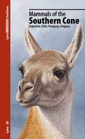 Argentina, uruguay and paraguay bin announce dem plan for joint bid for 2017 but na on thursday chile presido announce say dem go join bodi. Mammals Of The Southern Cone Argentina Chile Paraguay Uruguay Nhbs Field Guides Natural History