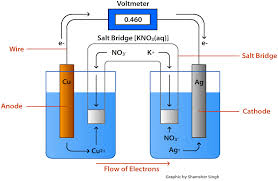Voltaic Cells Chemwiki Electrochemical Cell Cell Video Cell Diagram