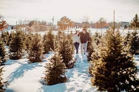 Maybe you would like to learn more about one of these? Krueger Christmas Tree Farm Engagement Session Kaitlin Taylor Brianna Lane Photography