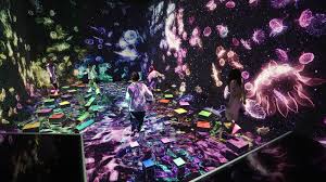teamLab Planets TOKYO DMM Admission Ticket -Rakuten Travel Experiences