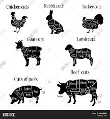5 out of 5 stars. Butcher Chart Vector Photo Free Trial Bigstock