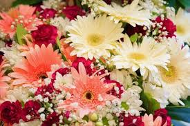 باقة ورد جميلة باقات ورد صباحية جميلة جدا باقة ورد كبيرة Zina Blog In 2020 Flower Bouquet Pictures Plant Images Flowers Bouquet