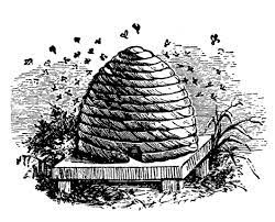 the bee whisperers of brittany bonjour from brittany in 2021 vintage bee hive vintage bee beehive drawing