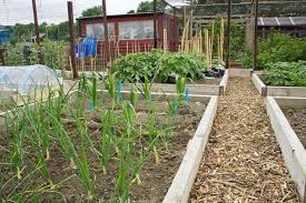 If you have patience for diy, you can get creative and turn your garden into an aesthetic delight. Building A Raised Bed The Third In The Allotment Series From The Two Thirsty Gardeners Stihl Blog