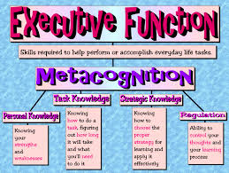 Pin On Executive Functions