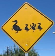 Stick Figure Pictogram Signs And Drawings Funny Duck Ducklings Duck