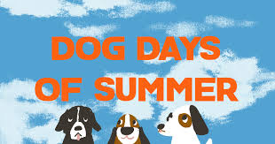 A mysterious drifter lures two boys the summer that turned this once idyllic paradise upside down. The Dog Days Of Summer With Wers