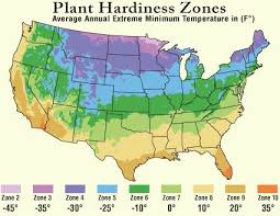 Tree Hardiness Zones Usda Hardiness Zone Map For Trees Shrubs