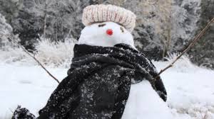 Forecast issued at 4:10 pm est on wednesday 4 august 2021. Temperatures Plunge Snow Forecast As Cold Snap Hits Nsw Qld