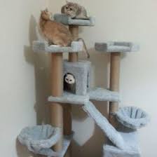 Kedi Tirmalama Ve Oyun Evi 0507 664 22 22 Icin 46 Fikir Kedi Oyun Evleri Evler