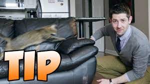 This is because cats do not get the same way with citrus hence it will keep expelling them. Tip For How To Stop Your Cat From Scratching The Furniture Youtube