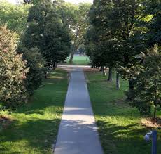 A parma, bellezza, ambiente e food si uniscono in un magico interno verde è patrocinato dal mibact, dal comune e dall'università di parma, dall'associazione. Europa Verde Parma Salviamo Il Verde Urbano Della Cittadella Si Riveda Il Progetto Di Riqualificazione Europa Verde Emilia Romagna
