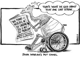 The origin of the straw that broke the camel's back. Cartoon The Final Straw Bc Local News