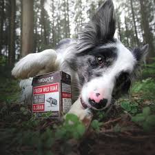 Dog Wet Food In 2020 Dogs Dog Food Recipes Animals