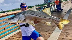 Snook are the most well known saltwater inshore game fish in florida. Snook Fishing Tips How To Catch Snook In Florida The Florida Fishing Show