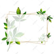 กรอบใบไม ส น ำสวย ส น ำ ส ม ส ส นภาพ png และ เวกเตอร สำหร บการดาวน โหลดฟร flower background wallpaper watercolor leaves floral poster