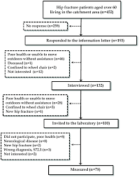 The Flow Chart Of The Hip Asymmetry Study Download