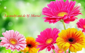In aceasta zi sfanta majoritatea femeilor serbeaza ziua onomastica, toate persoanele ce poarta numele maria, mariana, marius si asa mai departe sunt cei care ar trebui sa primeasca cele mai frumnoase urari de sfanta maria. Ziua De Cluj Sf Maria MicÄƒ Cele Mai Frumoase Mesaje Si FelicitÄƒri