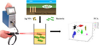 This natural gas detector review will help to find the right one for your needs. A Novel Surface Enhanced Raman Scattering Sers Detection For Natural Gas Exploration Using Methane Oxidizing Bacteria Sciencedirect