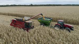 Why ag teacher shortage is critical