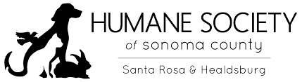 Wild cat foundation lafayette, la 70506 phone. Humane Society Of Sonoma County Car Donation Services Inc