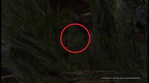 Like all weapons, it features a unique moveset and an upgrade path that branches out depending on the materials used.please see weapon mechanics for details on the basics of your hunter tools. Steam Community Guide Guide On How To Catch All Rare Endemic Life