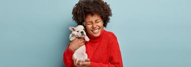 Emotional support animal in harvey, il genuine emotional support animal documentation from licensed doctors provided by ezcare medical clinic in harvey, il. Are Emotional Support Animals Protected By Ada Applyconnect