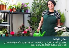 كيف تحافظ على النباتات المنزلية في 5 خطوات سهلة