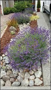 Backyard Landscaping A Home Gardener S Tips To Low Maintenance Landscaping Diy Landscape Backyard Rock Garden Landscaping Backyard Landscaping Cottage Garden