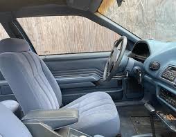 Image result for Bimini Blue 1992 Tempo