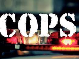 Cops Cancelled Explained Why The Long Running Reality Show Is Over Thrillist