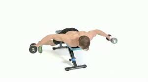 We did not find results for: How To Do The Lying Rear Delt Fly