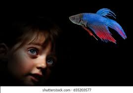 Young Fashion Girl Model Blue Fish Stock Photo 1662762349