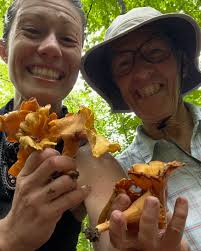 Anne of All Trades added a new photo.